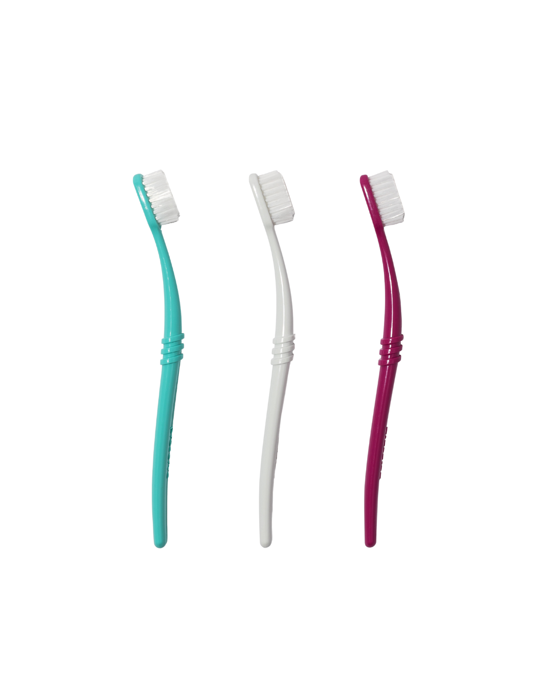 Three colorful toothbrushes stand upright, showcasing dental care essentials.
