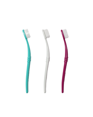 Three colorful toothbrushes stand upright, showcasing dental care essentials.
