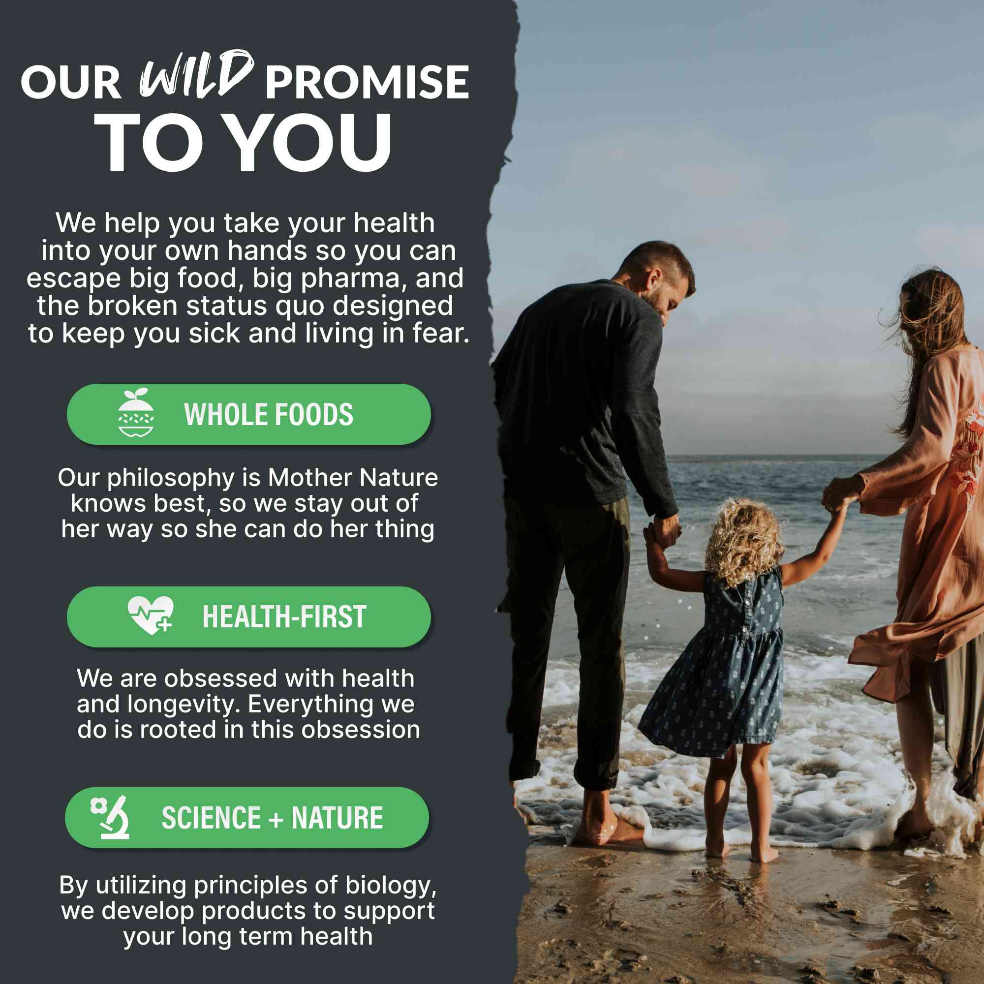 Cold Process Grass-Fed Whey Protein from Pasture-Raised Cows