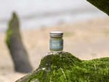 All Purpose Salve, Herbal Salve with Comfrey & Tea Tree Oil