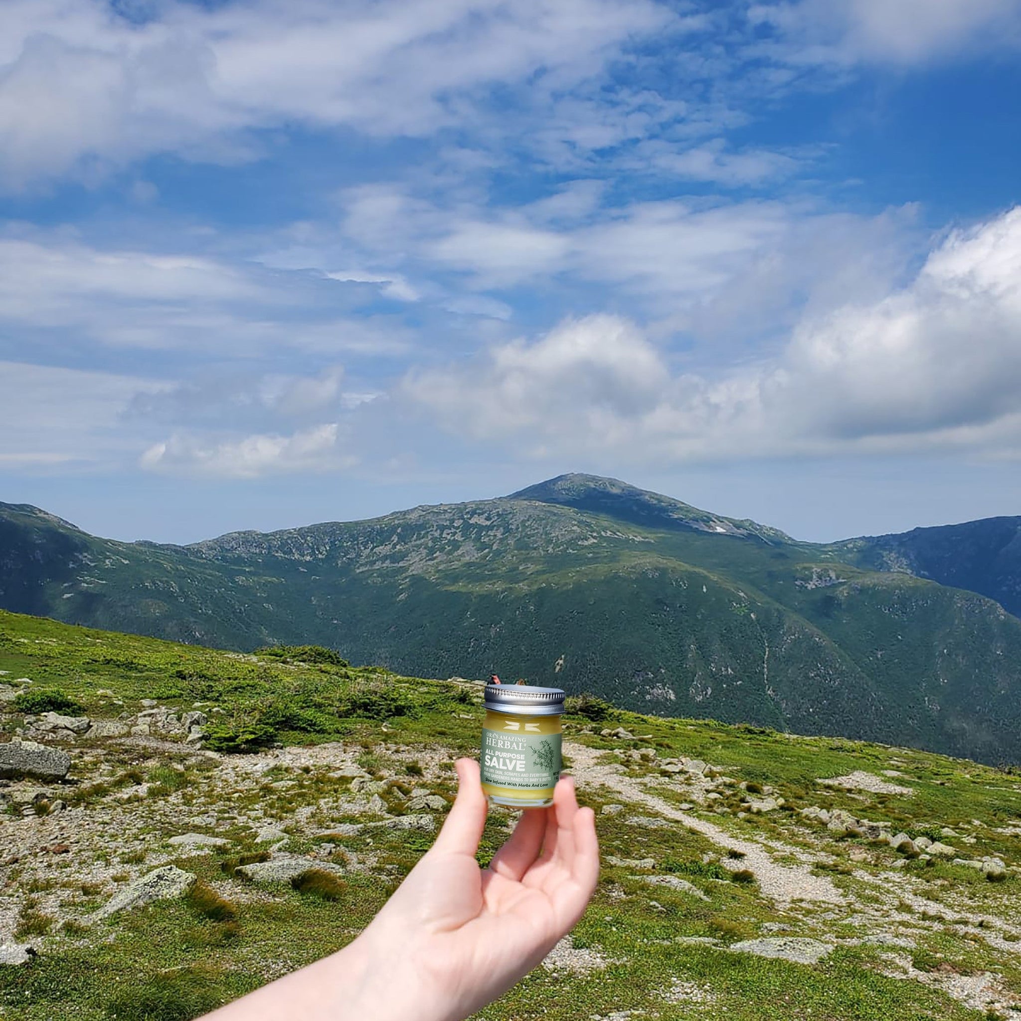 All Purpose Salve, Herbal Salve with Comfrey & Tea Tree Oil
