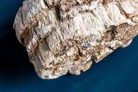 Close-up shows the detailed texture of a piece of textured cork bark used for terrarium decor on a blue background.
