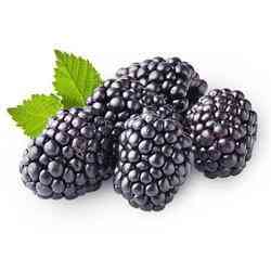 Raw Blackberry Honey Bliss