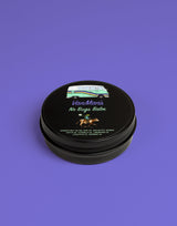 Close-up shows a tin of VanMan's No Bugs Balm, featuring a whimsical design of a VW van and a frog riding a cow, highlighting the natural ingredients like citronella and eucalyptus oil for effective insect repellent.
