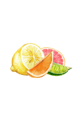 Lots of Purpose Spray Cleaner | Lemon, Lime, Orange & Grapefruit