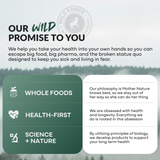 Wild Fish Oil Capsules
