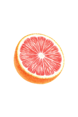 Dish Soap | Pink Grapefruit