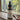 Incense Cedar Beard Oil