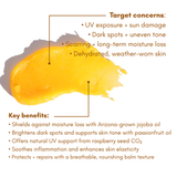 Pot of Gold Regenerative Face Balm
