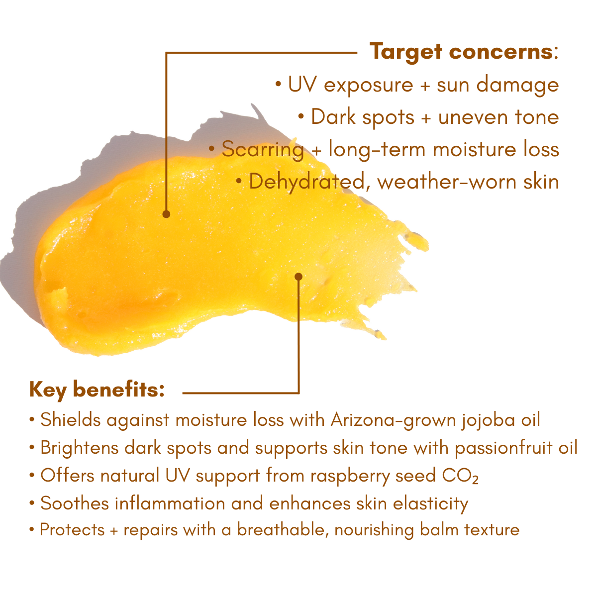 Pot of Gold Regenerative Face Balm