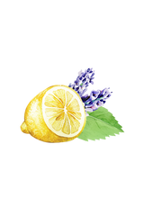 Lots of Purpose Spray Cleaner | Lavender, Lemon & Mint