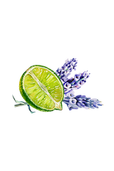 Epsom Salt Soak | Lavender & Lime