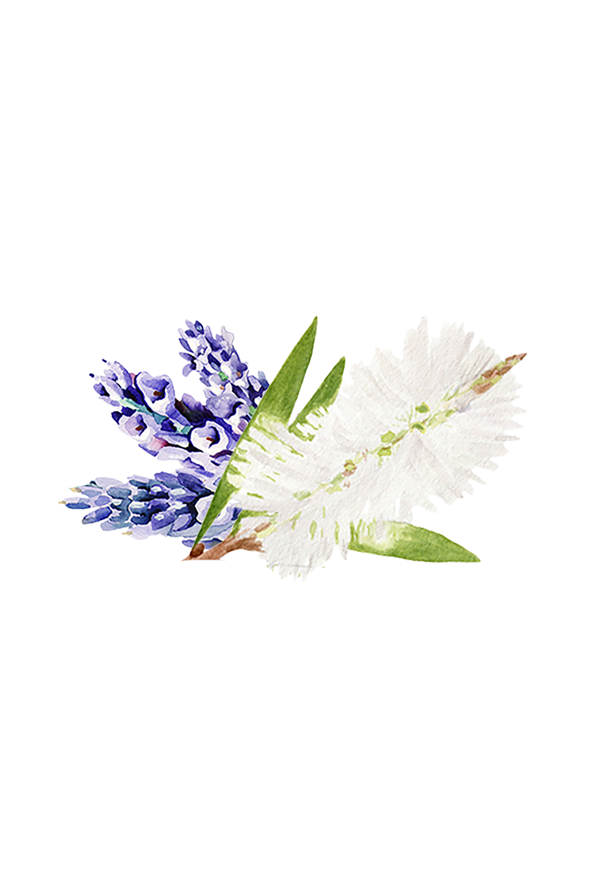 Coconut Conditioner | Lavender Tea Tree