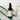Annmarie's Aloe Herb Cleanser sits near fresh aloe vera stalks and product boxes showcasing the natural skincare line.
