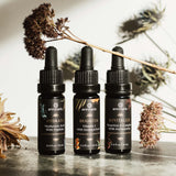 Annmarie's skincare collection presents three boosting elixirs – Hydrate, Brighten, and Revitalize – displayed against a backdrop of dried flowers.
