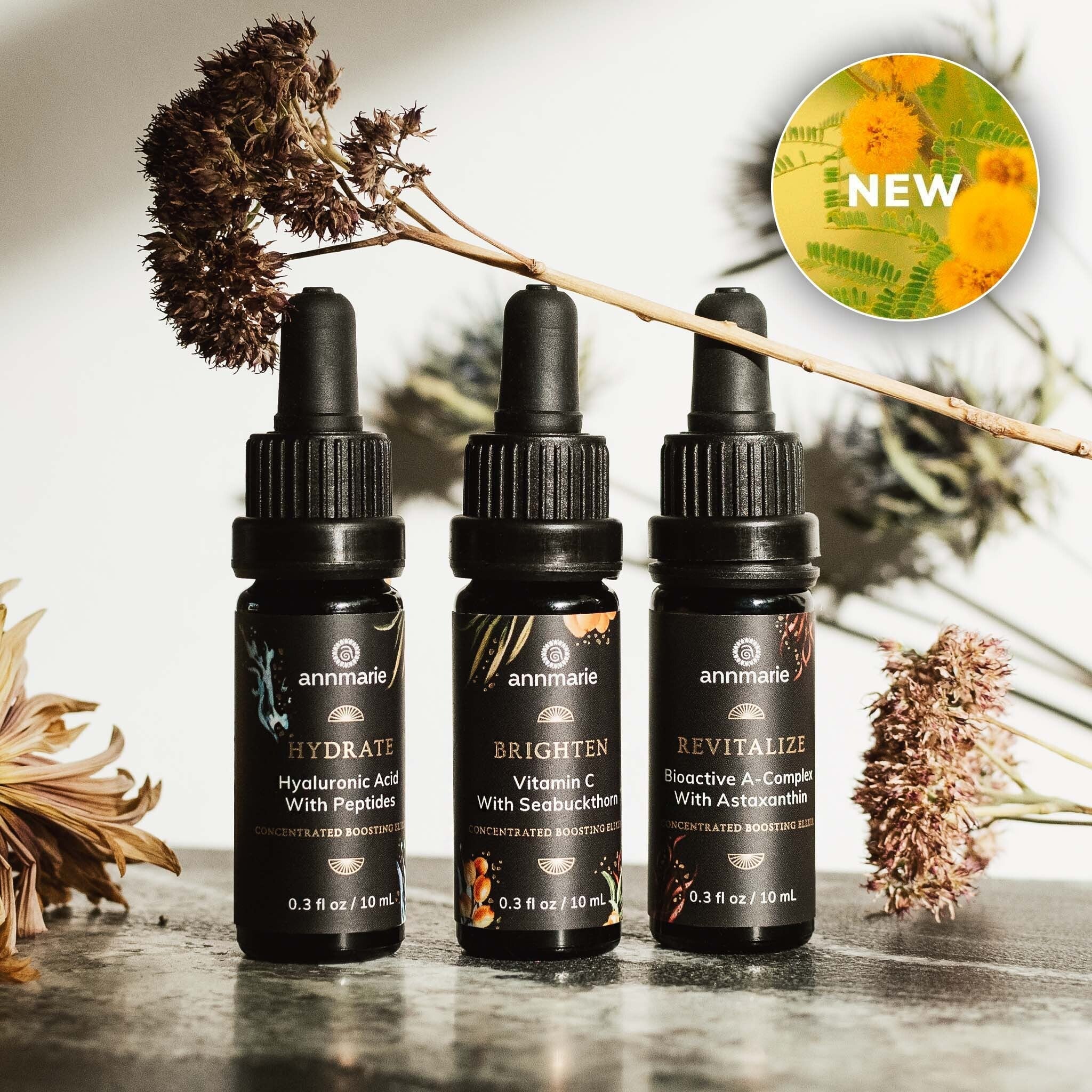 Three Annmarie skincare serums, including hyaluronic acid, vitamin C, and bioactive A-complex, sit amidst dried floral arrangements, promoting a new addition.
