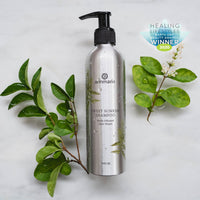 Annmarie Sweet Sunrise shampoo, an Earth Day Beauty Award winner, sits among green leaves on a marble surface.

