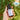 A hand holds Annmarie Sun Love everyday sheer sunscreen SPF 20, an award-winning reef-friendly beauty product, against a backdrop of green leaves and flowers.
