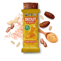 Skout Organic Peanut Butter Protein Bar