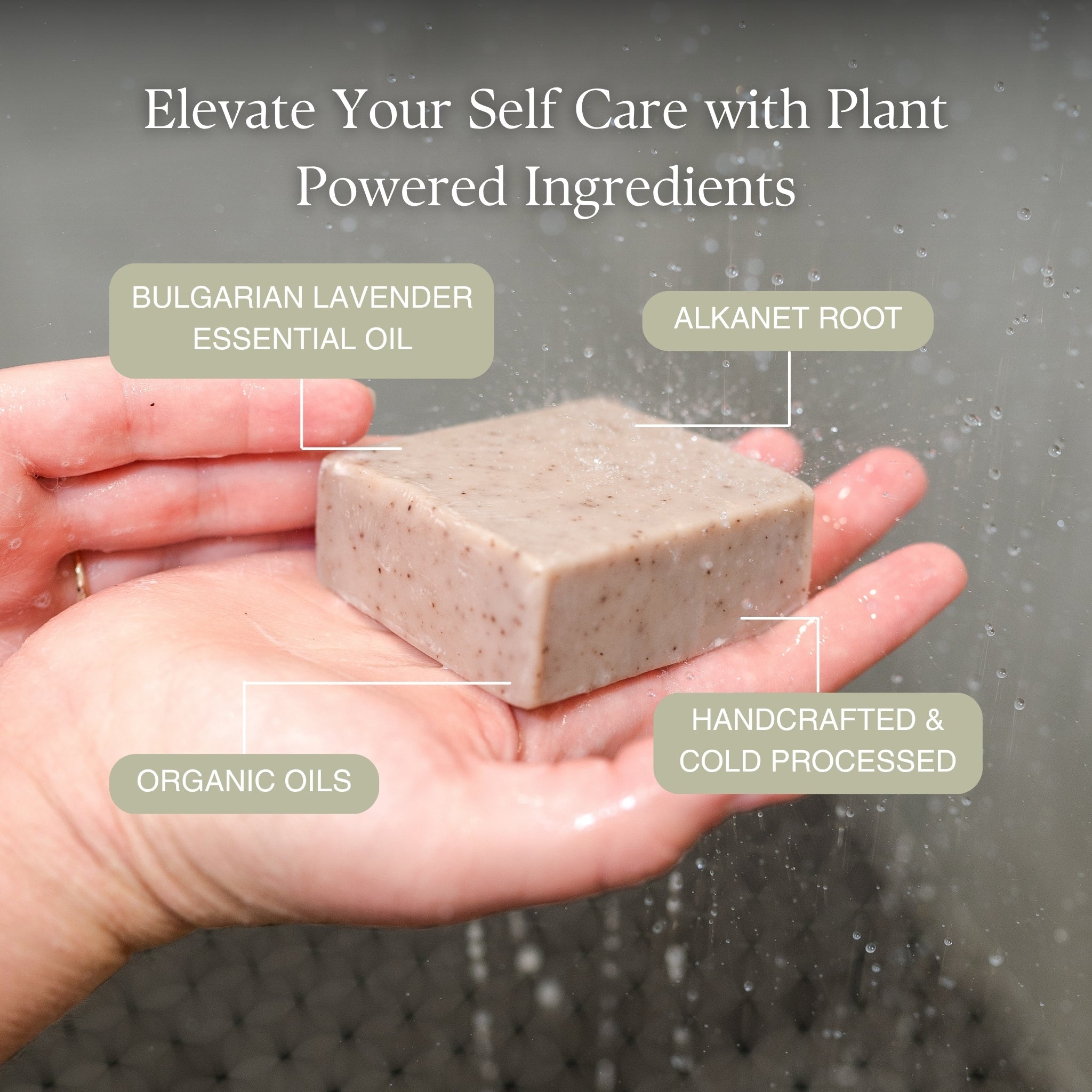 Solace Bar Soap