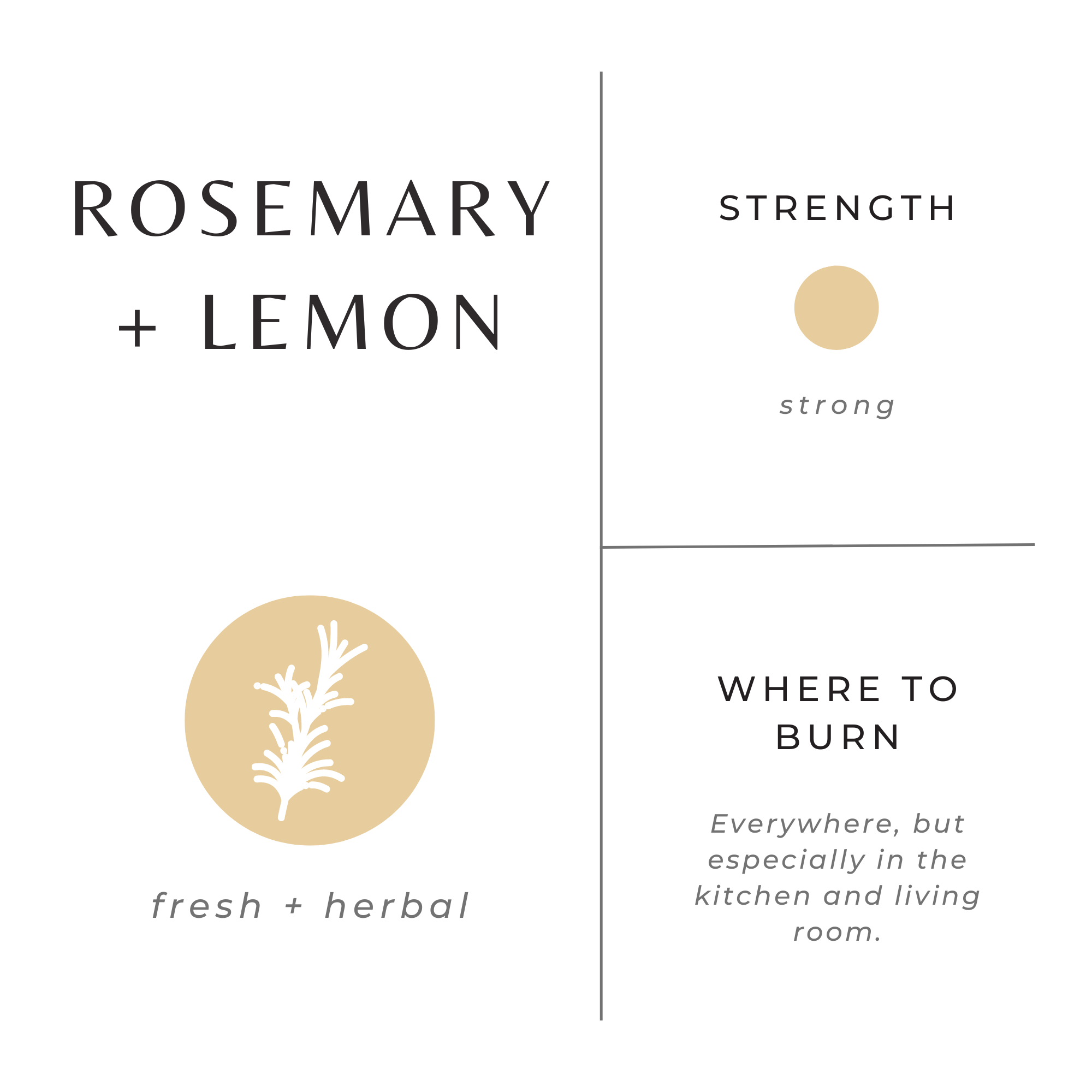 Mini Soy Wax Candle - 2 oz