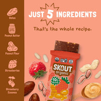 Skout Organic Peanut Butter & Jelly Protein Bar