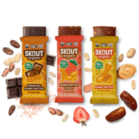 Skout Organic Peanut Butter Protein Bar Bundle - 15 Pack