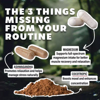 Discover the three missing supplements – ashwagandha capsules, magnesium capsules, and Cocotropic powder – that promote relaxation, muscle recovery, and enhanced concentration for a healthier routine.
