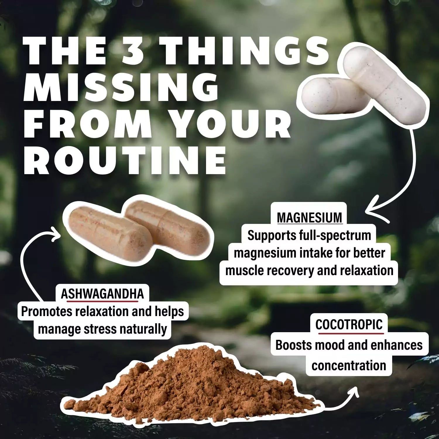 Discover the three missing supplements – ashwagandha capsules, magnesium capsules, and Cocotropic powder – that promote relaxation, muscle recovery, and enhanced concentration for a healthier routine.
