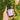 A hand holds Annmarie Sun Love sheer sunscreen SPF 20 in front of a leafy green plant with peach-colored flowers.
