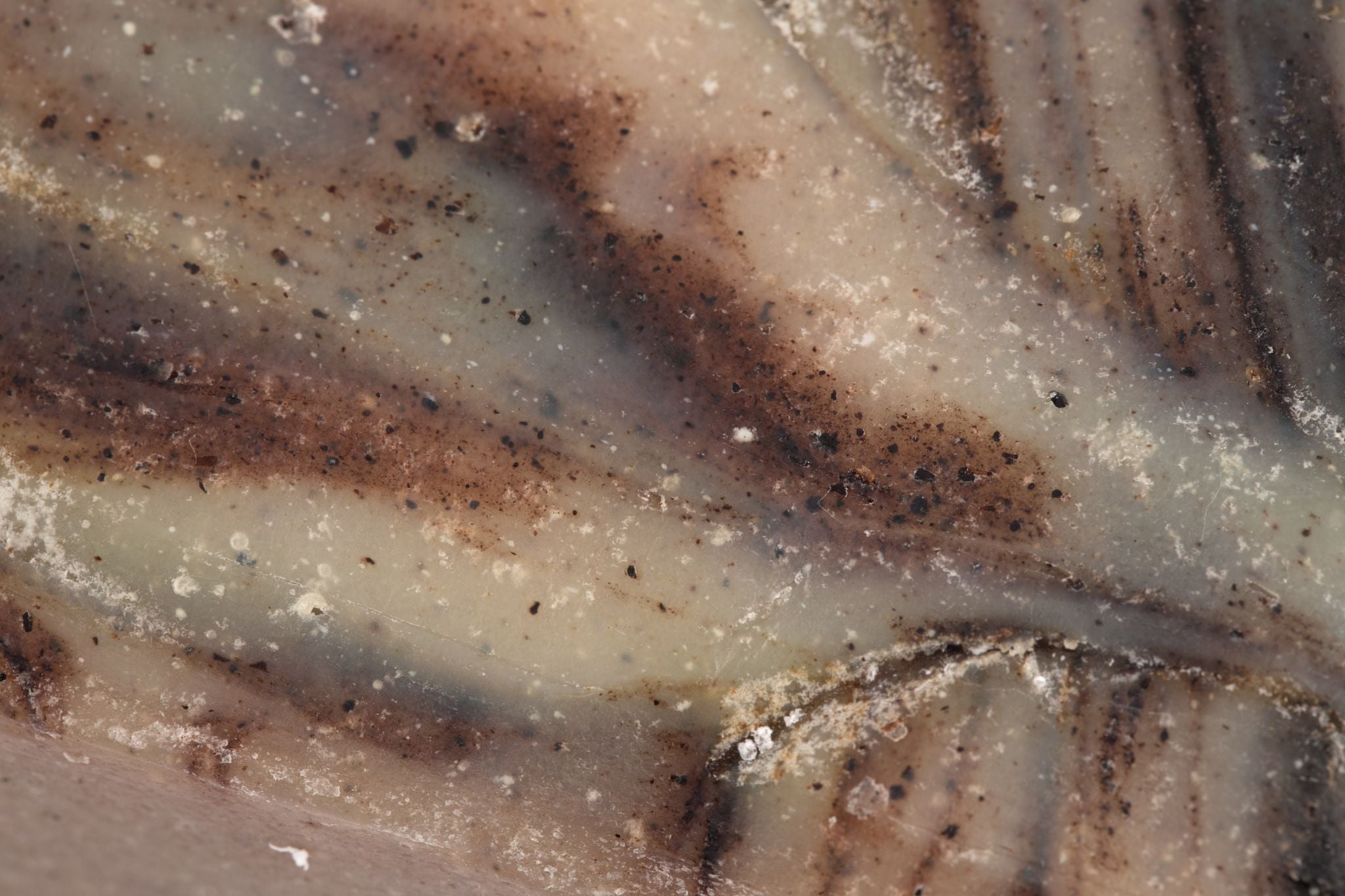 Close-up shot reveals the textured surface of striped, marbled soap with brown and tan swirls.
