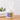 Wellness Lotion Gift Set