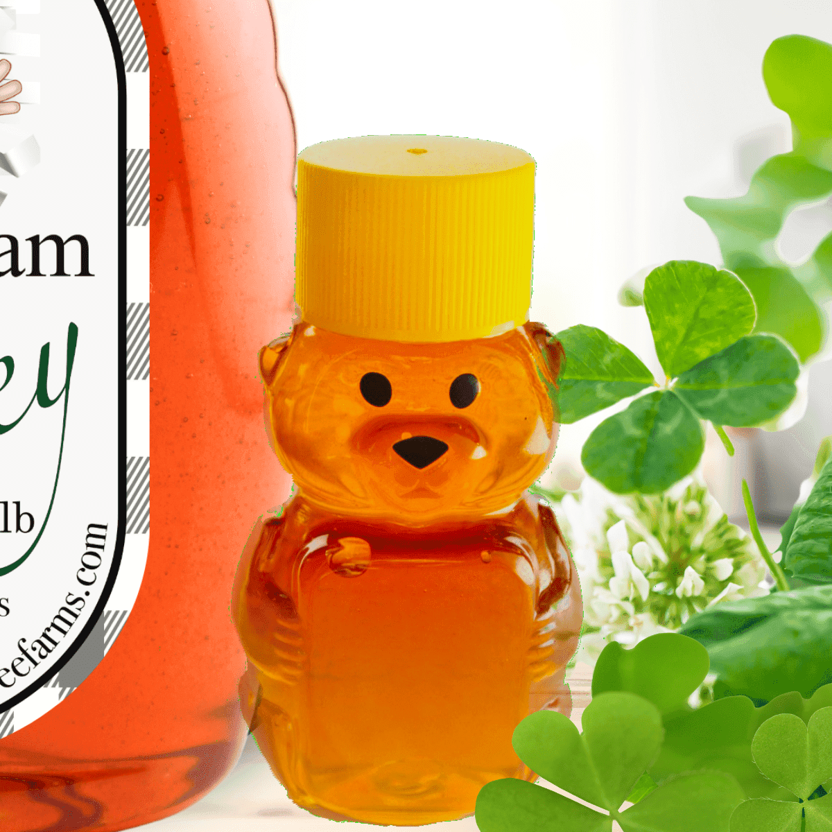 Raw Irish Cream Honey